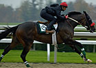 Quiet Mood at Lava Man's Former Stable