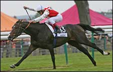 French Derby Winner Lawman Retired French Derby Winner Lawman Retired