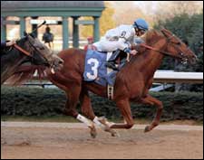 Lawyer Ron Rules Pace in Southwest Victory Lawyer Ron Rules Pace in Southwest Victory