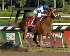 Lawyer Ron Crushes Woodward Foes Lawyer Ron Crushes Woodward Foes