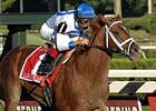 Lawyer Ron Crushes Woodward Foes