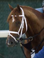 Pletcher Brigade Works; Discreet Cat Sizzles Pletcher Brigade Works; Discreet Cat Sizzles