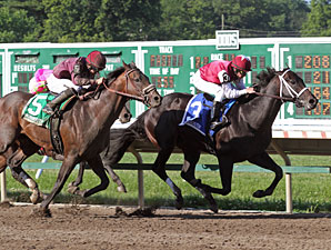 Le Bernardin Prevails in Pegasus Stretch Duel Le Bernardin Prevails in Pegasus Stretch Duel