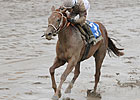 Rain Keeps Saratoga First-Day Handle Down Rain Keeps Saratoga First-Day Handle Down