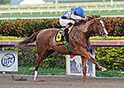Lea Carries Saez to Milestone in Hal's Hope Lea Carries Saez to Milestone in Hal's Hope