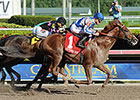 Lea Makes Impressive Hal's Hope Comeback Lea Makes Impressive Hal's Hope Comeback