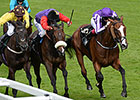 Leading Light Denies Estimate in Gold Cup Leading Light Denies Estimate in Gold Cup