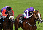 Leading Light Heads 11 for Irish St. Leger Leading Light Heads 11 for Irish St. Leger