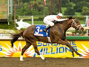 Dozen to Fight it Out in Santa Maria Dozen to Fight it Out in Santa Maria