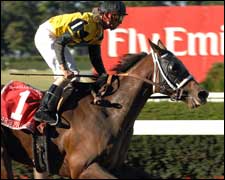 West Point: Lear's Princess Out of November Sale West Point: Lear's Princess Out of November Sale