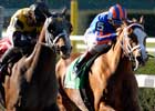 Lear's Princess Dethrones Queen 'Rags in Gazelle Lear's Princess Dethrones Queen 'Rags in Gazelle