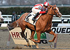 Leave the Light On Training at Palm Meadows Leave the Light On Training at Palm Meadows