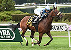 Legendary Collects Knickerbocker Score Legendary Collects Knickerbocker Score