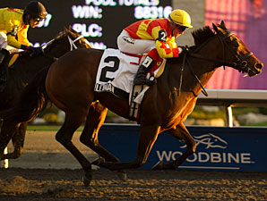 Leinan Upsets Mechaya in Glorious Song Leinan Upsets Mechaya in Glorious Song