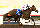 Lemon Chiffon Has Upset Chance in Gamely Lemon Chiffon Has Upset Chance in Gamely