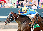 Lemon Drop Dream Takes on Seven in Phoenix Lemon Drop Dream Takes on Seven in Phoenix