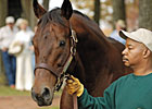 Lemon Drop Kid, Kingmambo Share Deal in Limbo