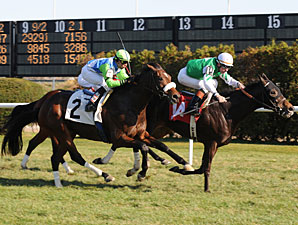 Barbaro Brother Lentenor Second in Turf Debut Barbaro Brother Lentenor Second in Turf Debut