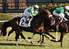 Barbaro Brother Lentenor Second in Turf Debut Barbaro Brother Lentenor Second in Turf Debut