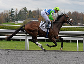 Barbaro's Brother Lentenor Third in Debut Barbaro's Brother Lentenor Third in Debut