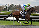 Barbaro's Brother Lentenor Third in Debut
