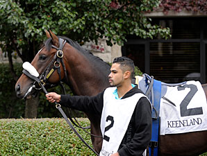 Lentenor, Barbaro's Brother, to Calumet Farm Lentenor, Barbaro's Brother, to Calumet Farm