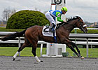 Barbaro's Brother a Step Away from Derby