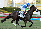 Lentenor Entered to Run Feb. 17 in Florida Lentenor Entered to Run Feb. 17 in Florida