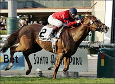 Grade I Winner Leroidesanimaux to Stand at Stonewall Grade I Winner Leroidesanimaux to Stand at Stonewall