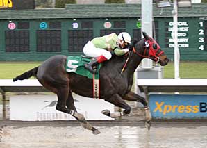 Oregon Champion Euthanized Oregon Champion Euthanized