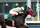 Oregon Champion Euthanized Oregon Champion Euthanized