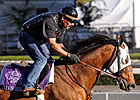 Lewis Michael Retired to Three Chimneys