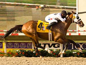 Lewis Michael to Stand at Three Chimneys Lewis Michael to Stand at Three Chimneys
