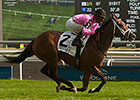 Lexie Lou Adapts to Turf in Wonder Where Win Lexie Lou Adapts to Turf in Wonder Where Win