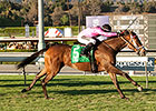 Lexie Lou Shows Old Spark in Autumn Miss Win Lexie Lou Shows Old Spark in Autumn Miss Win