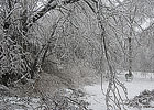 Icy Winter Storm Leads to Cancellations Icy Winter Storm Leads to Cancellations