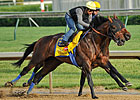 Liaison Turns in Final Derby Breeze Liaison Turns in Final Derby Breeze