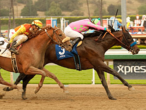 Liaison Shows His Fire in Santa Anita Return Liaison Shows His Fire in Santa Anita Return