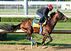 Liaison Breezes 6 Furlongs at Churchill