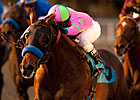 Liaison Back in Comfort Zone for Affirmed
