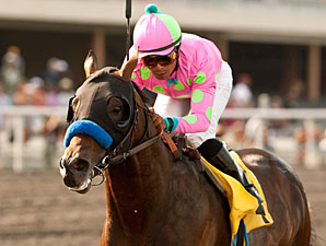 Liaison Retired to Spendthrift, Stud Fee Set Liaison Retired to Spendthrift, Stud Fee Set