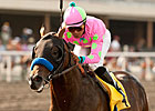 Liaison Retired to Spendthrift, Stud Fee Set Liaison Retired to Spendthrift, Stud Fee Set