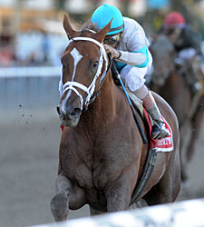 Owner: Life At Ten Should Have Been Scratched Owner: Life At Ten Should Have Been Scratched