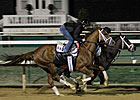 Life At Ten Goes Back to Work at Palm Meadows Life At Ten Goes Back to Work at Palm Meadows