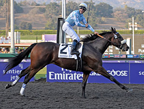 Life Is Sweet Starts New Season On Turf Life Is Sweet Starts New Season On Turf