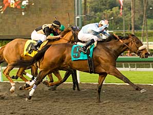 Dramatic La Canada Win for Life is Sweet Dramatic La Canada Win for Life is Sweet