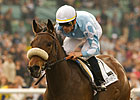 Life Is Sweet in Foal to Smart Strike Life Is Sweet in Foal to Smart Strike