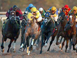 Like a Gem Stops Monashee's Streak Like a Gem Stops Monashee's Streak