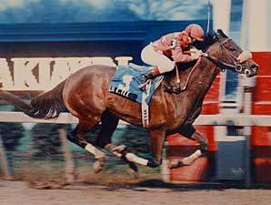 Derby Winner Lil E. Tee Euthanized Derby Winner Lil E. Tee Euthanized