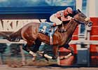 Derby Winner Lil E. Tee Euthanized Derby Winner Lil E. Tee Euthanized